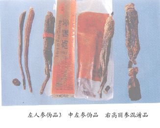 他选育的耐寒耐旱花种