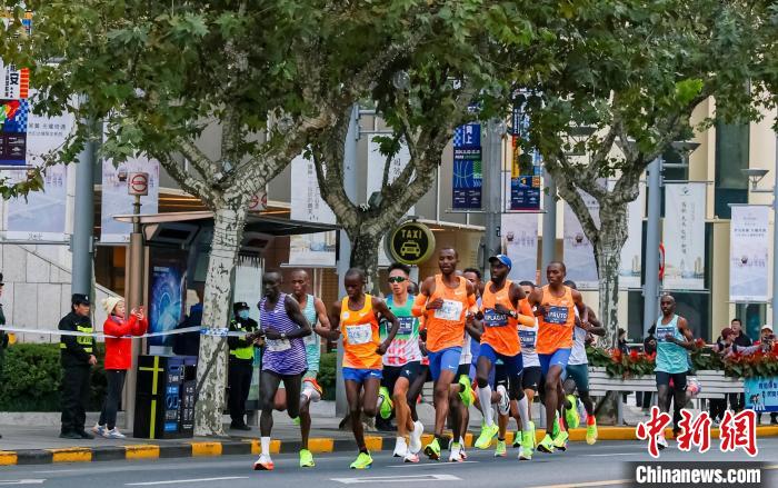 2024上海马拉松鸣枪开跑：首设竞速轮椅马拉松项
