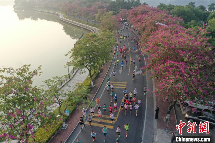 朝天门吹响起跑枪声，2.3万跑友在肇庆马拉松的